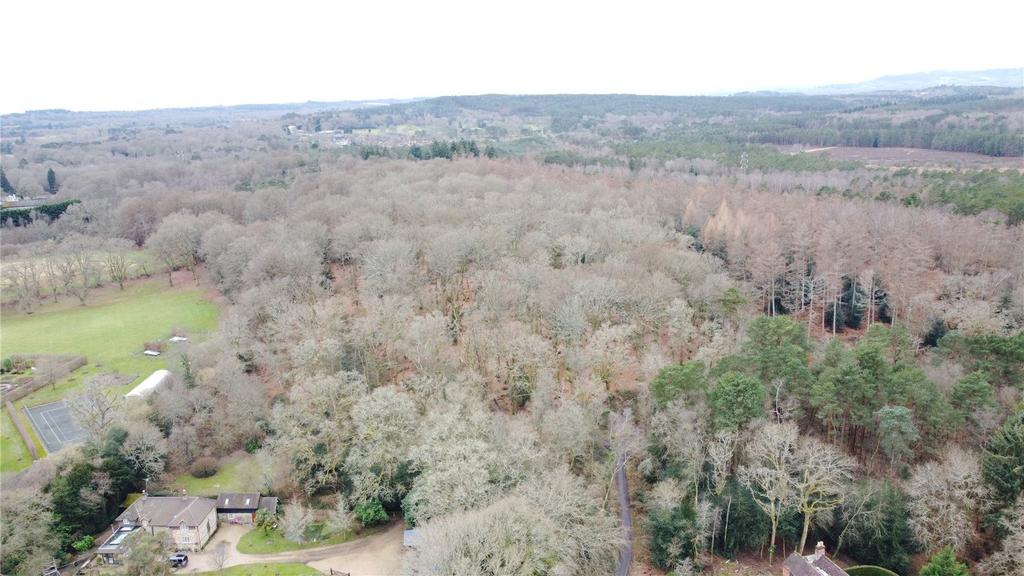 Holm Hills Woodland, Conford, Liphook, East Hampshire, GU30 Land for sale £125,000
