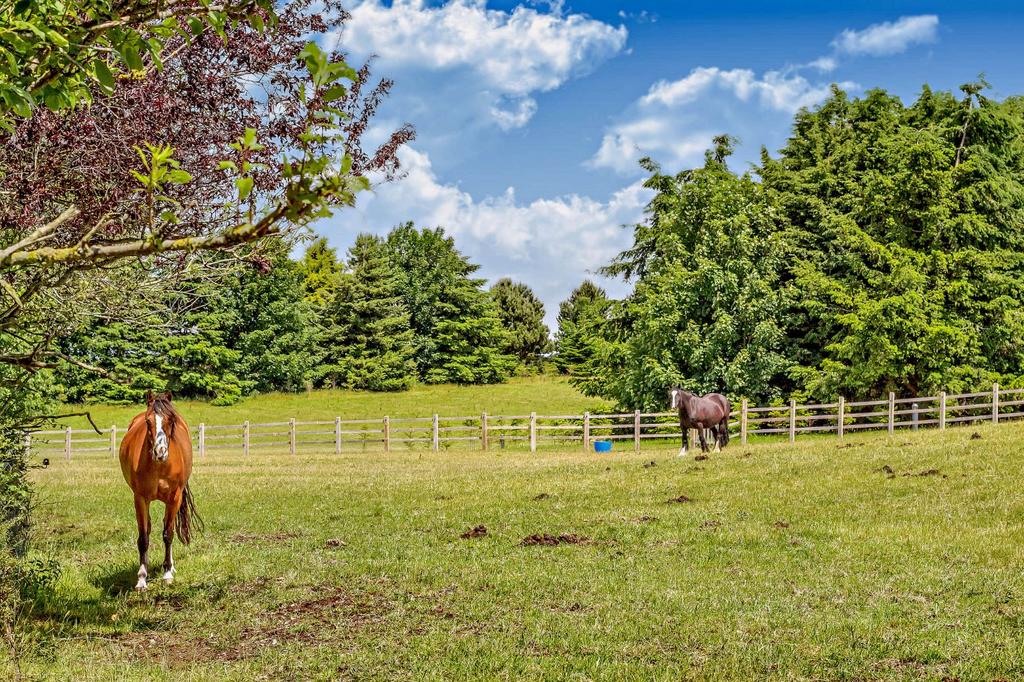 Paddocks