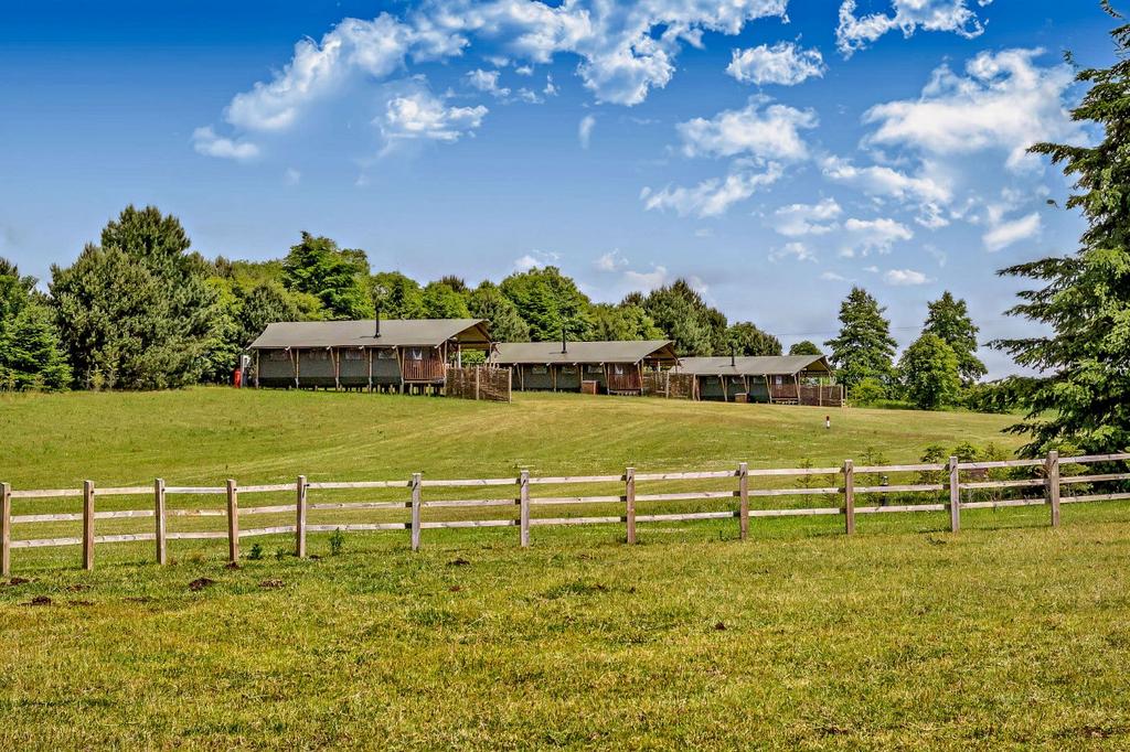 Safari Tents