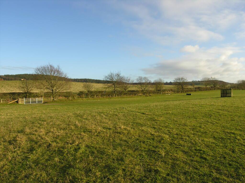 Dscn6868.jpg