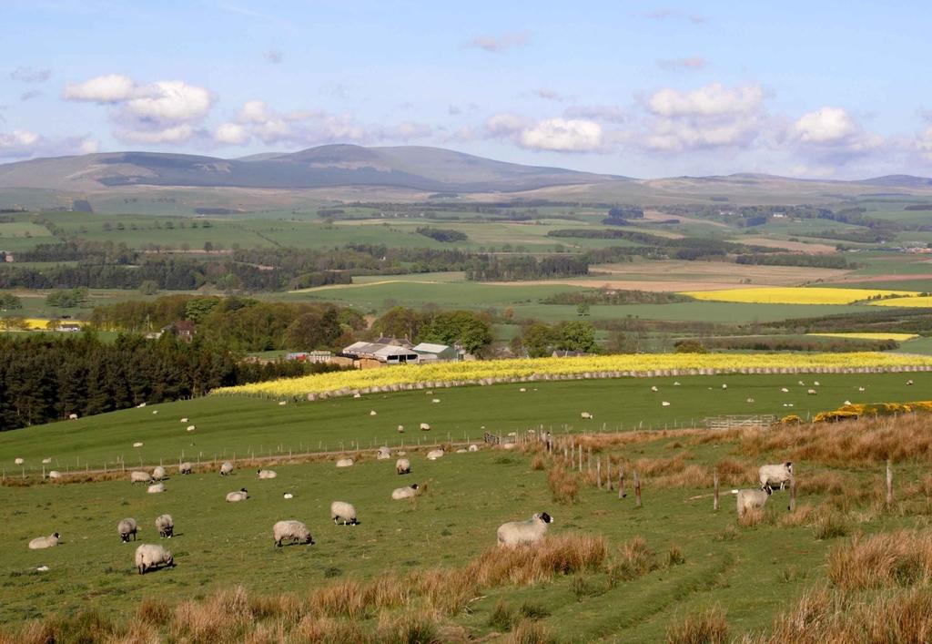 Hedgeley Farms.JPG