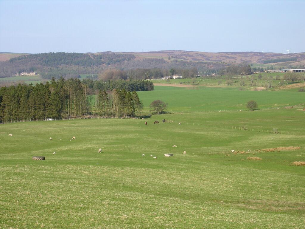 Dscn7194.jpg