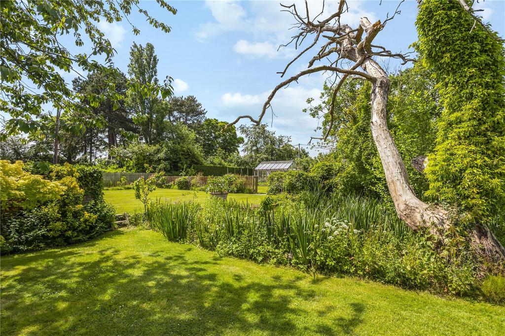 Pond & Garden