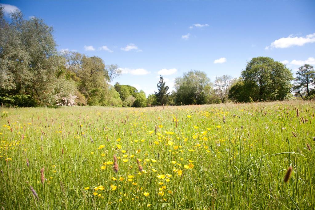 Land