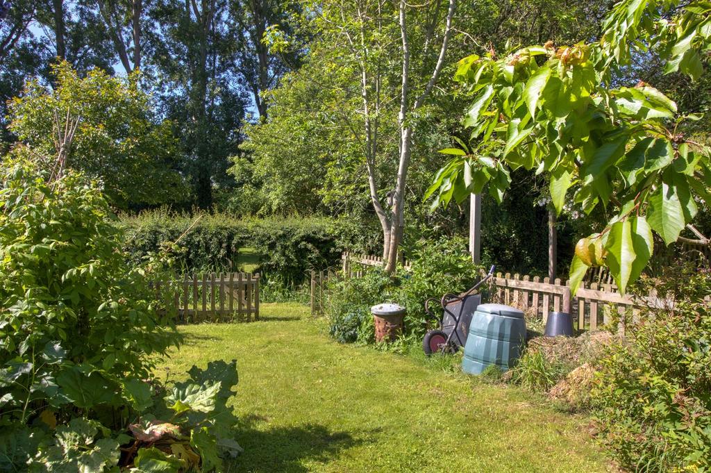 Garden 2