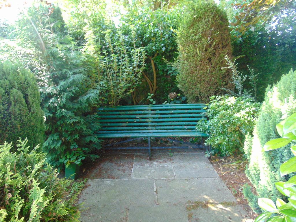 Dsc06767.jpg