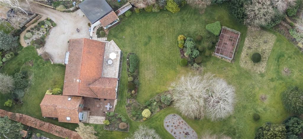 Birdseye