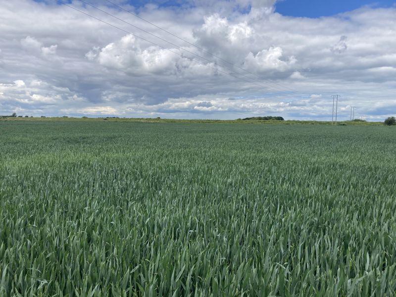 Land at Tattershall Bridge 9 Acres Property £80,000