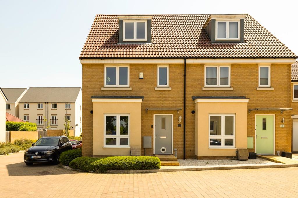 2 Gentian close 4.jpg