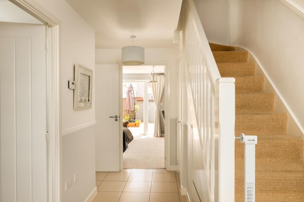 2 Gentian close 9.jpg