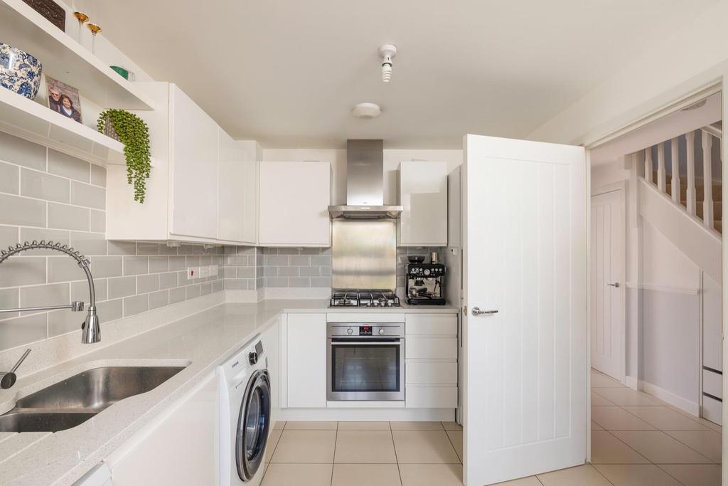 2 Gentian close 7.jpg