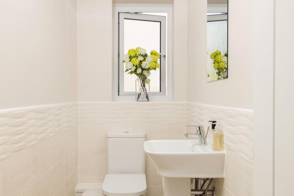 2 Gentian close 10.jpg