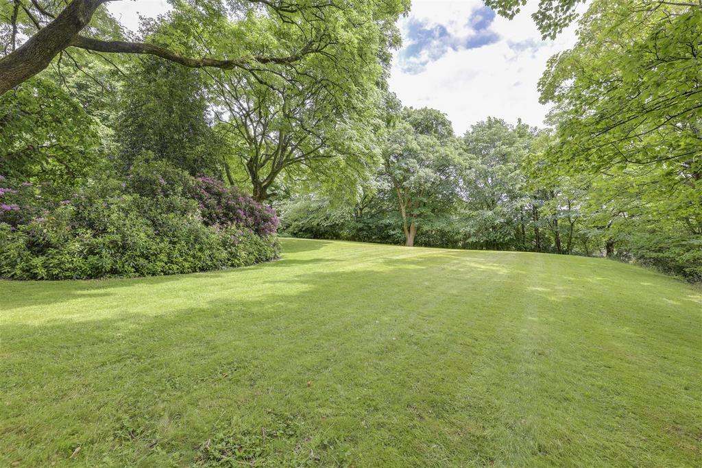 Garden 4