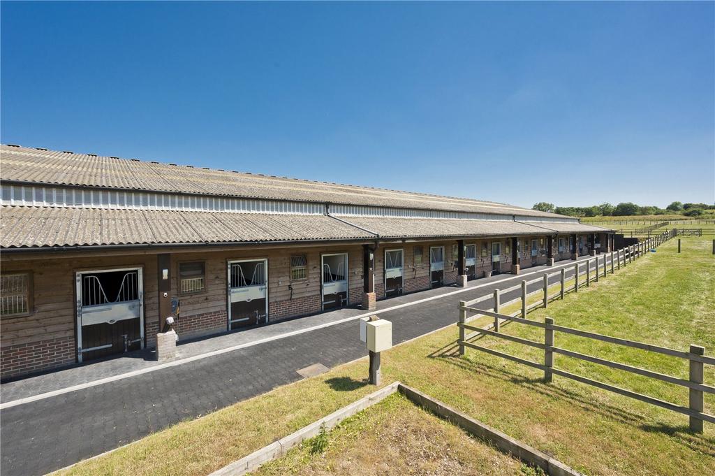 Stables