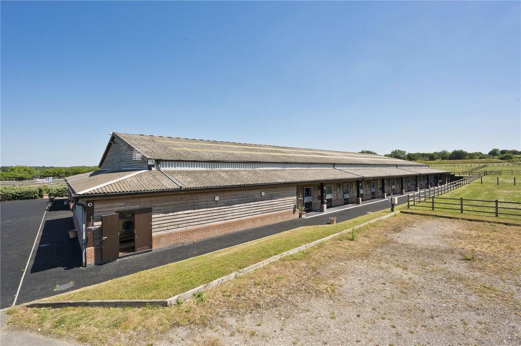 Arena External