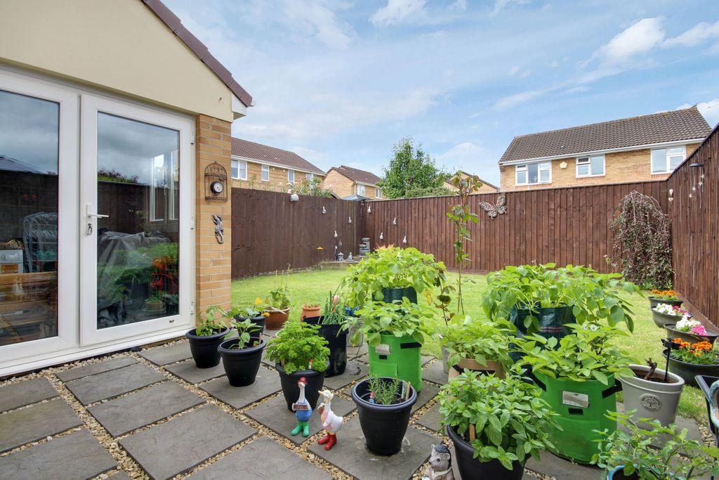 Garden at Back