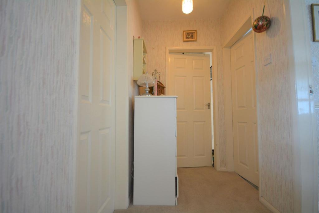 Photograph 5