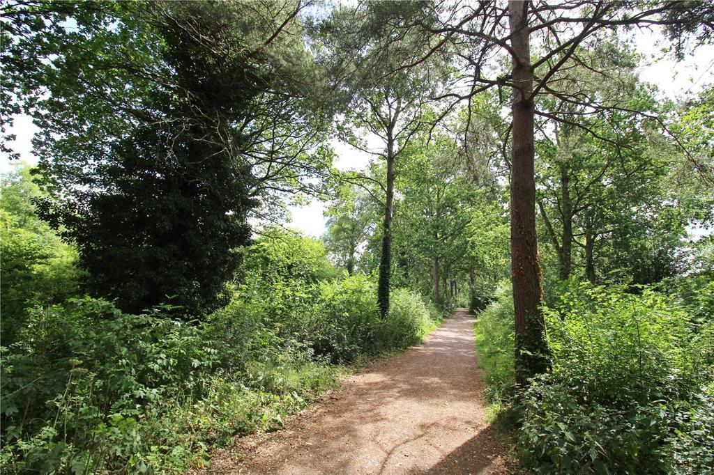 Path to Nene Park