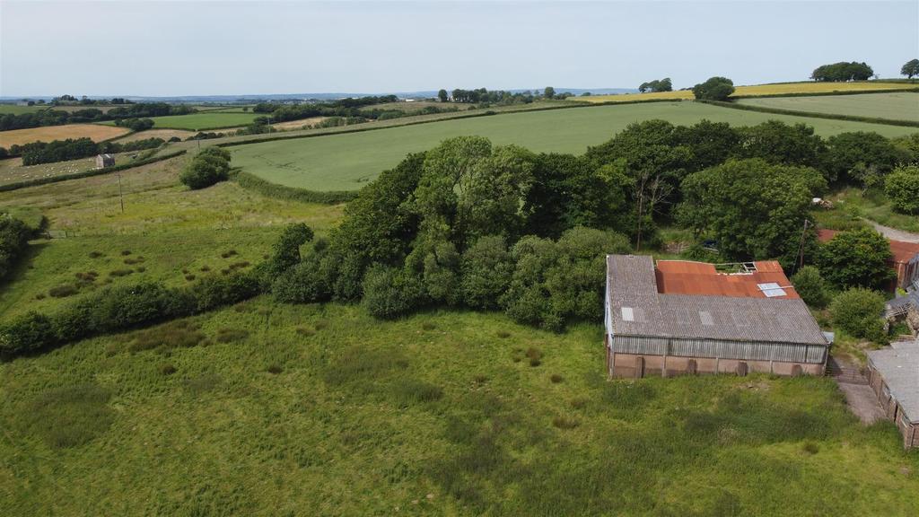 Dji 0481.jpg