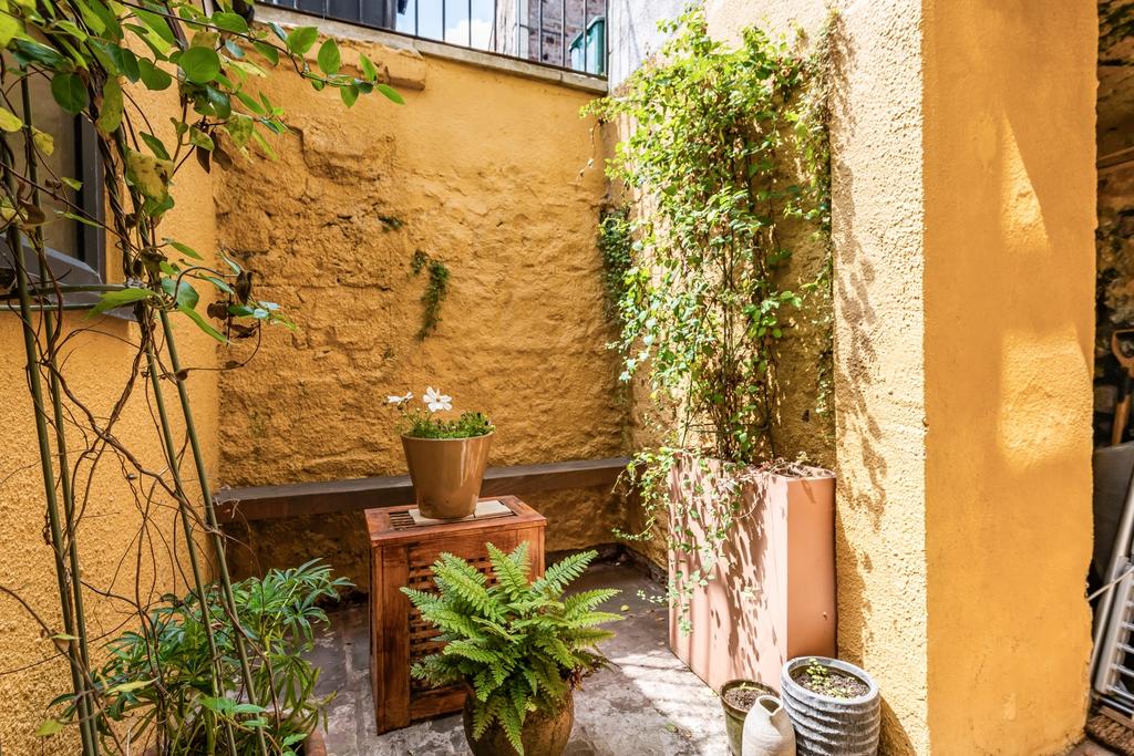 Garden 2