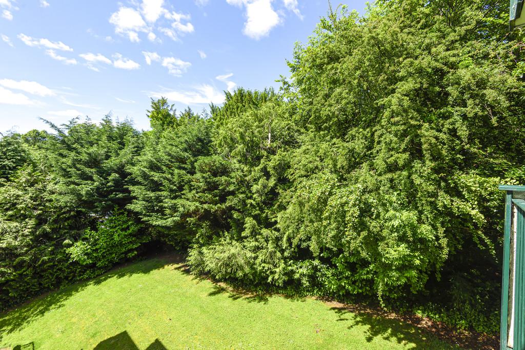 Communal Garden