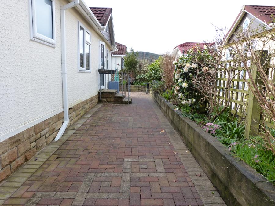 Back Garden