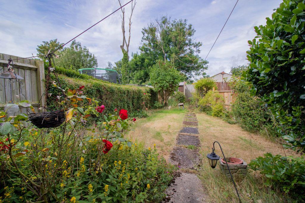 Garden at Back