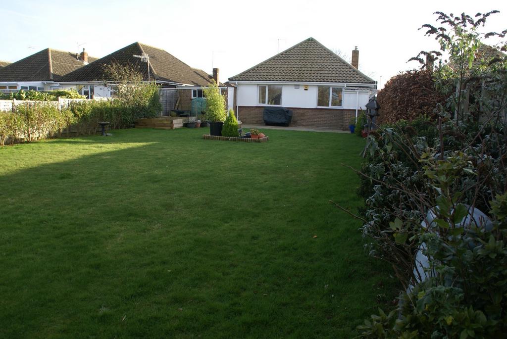 Back garden