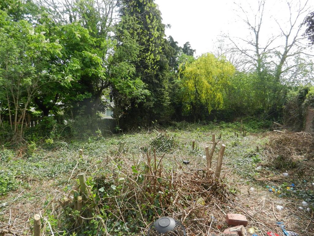 Dscn5049.jpg