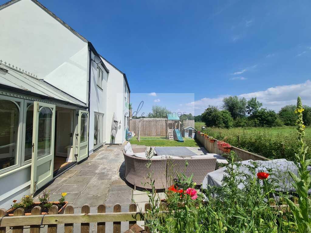 Back garden 3.jfif