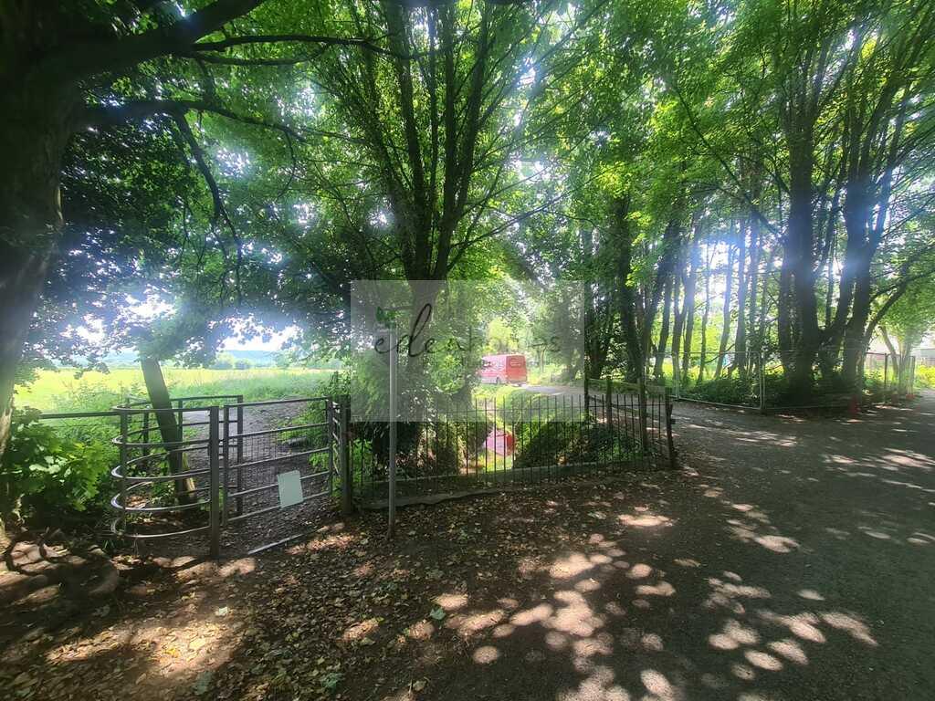 Entrance road.jfif