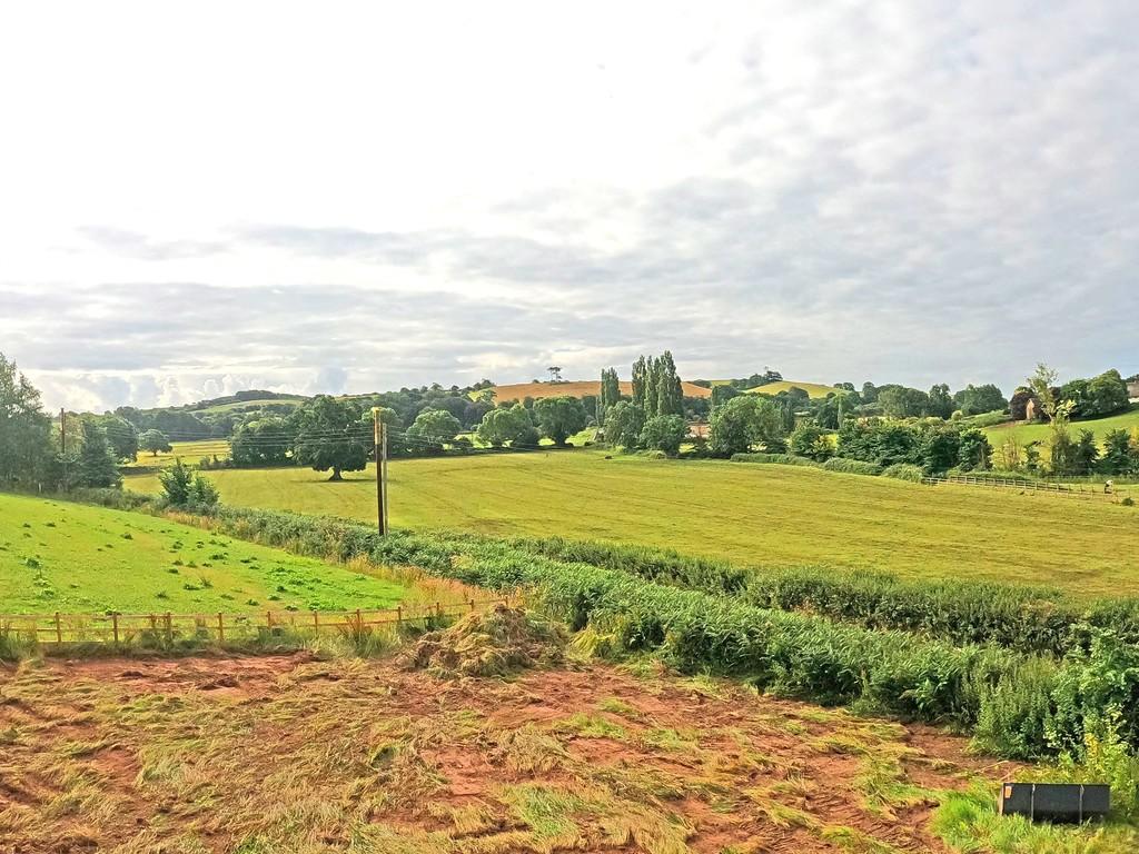 View from plot