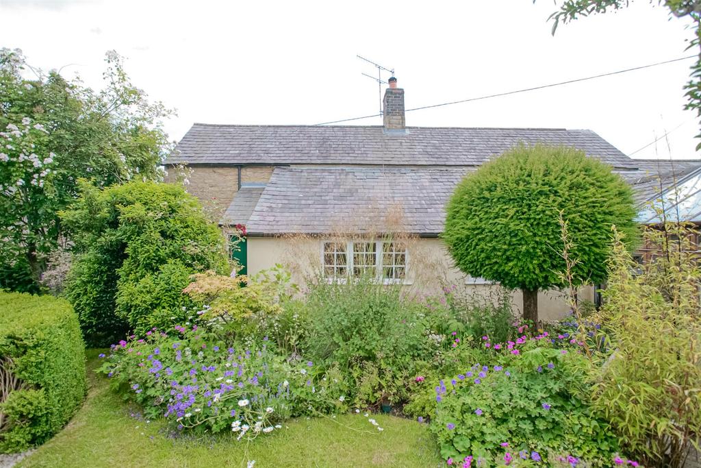 Garden 3.jpg