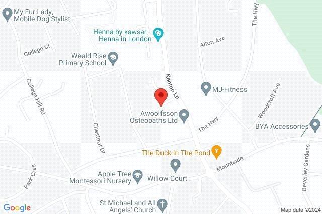 Google Maps Image