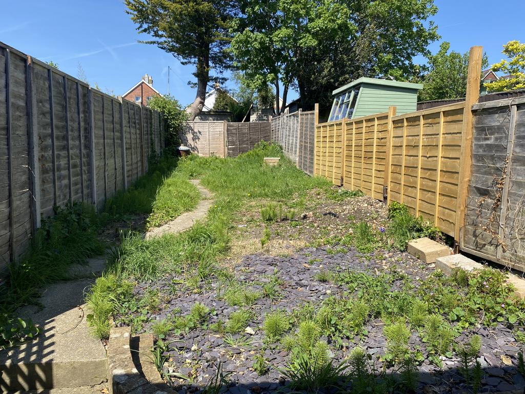 Alfred new garden