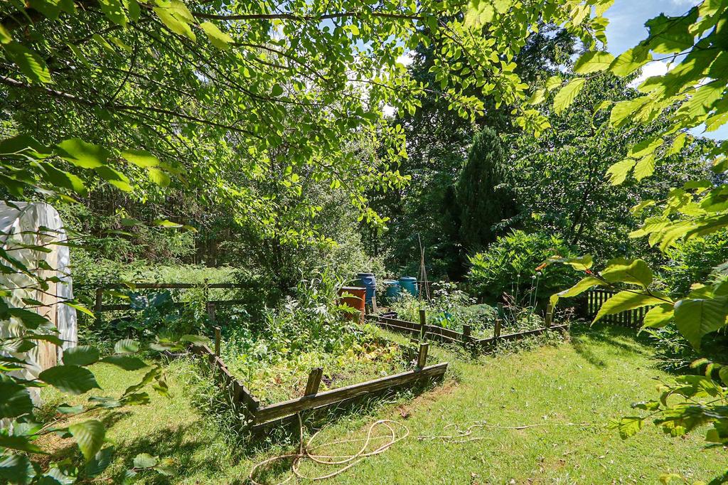 Vegetable Garden