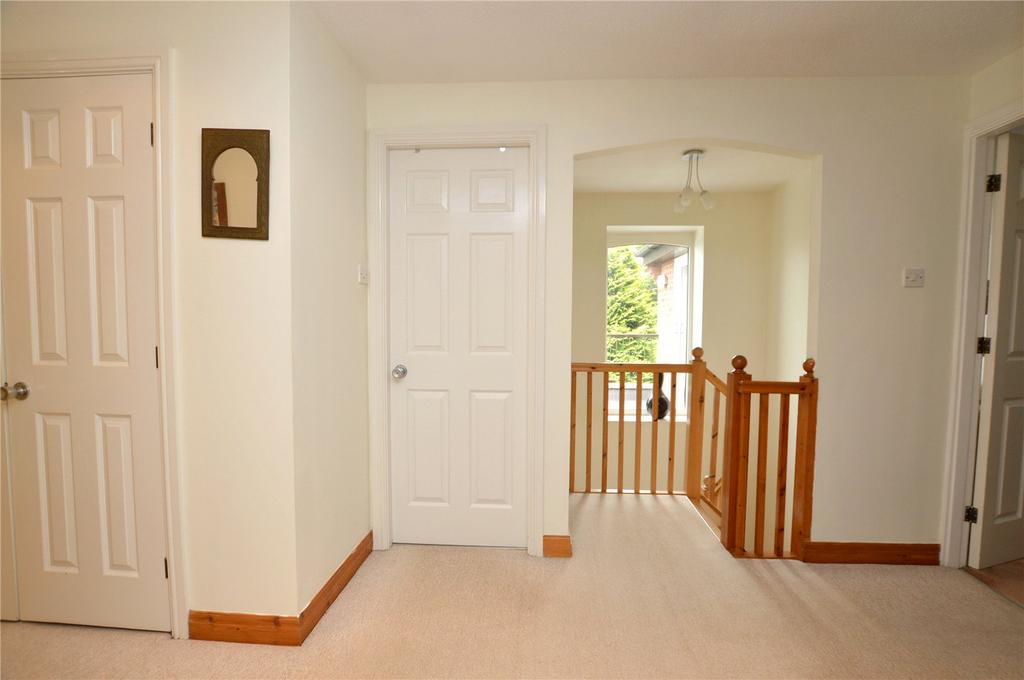 Picture 17