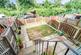 Dsc 8711.jpg