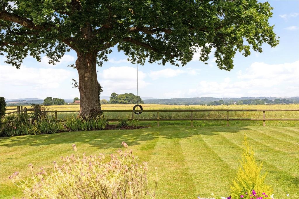 Garden With View