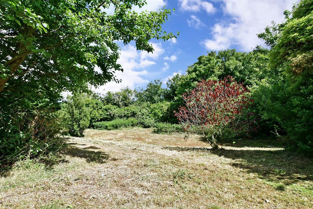 Side Garden