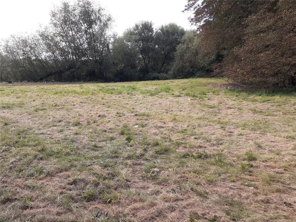 Lot 1