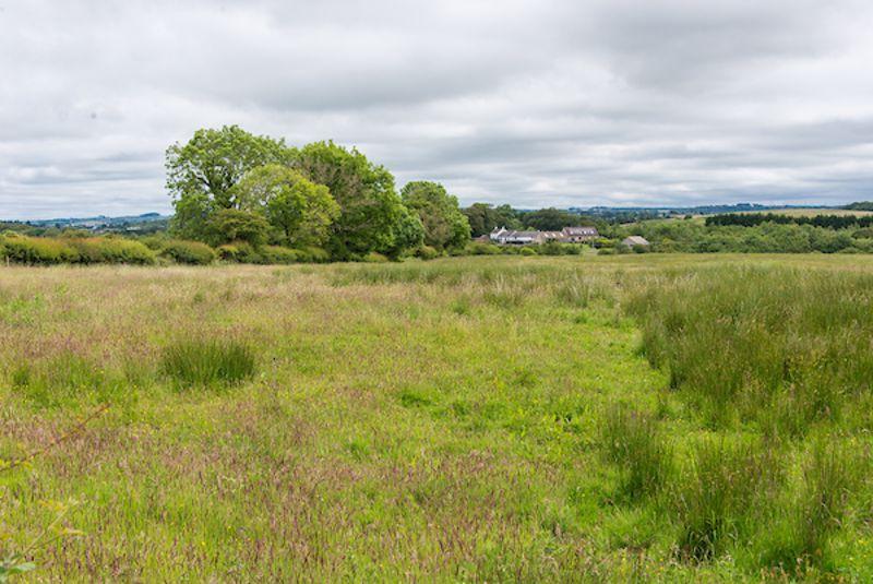 Swindridgemuir