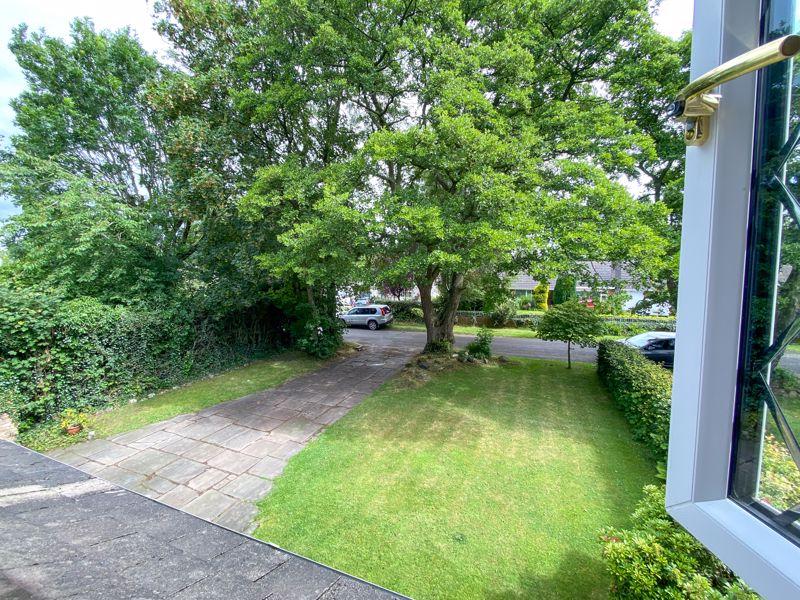 Photo 41