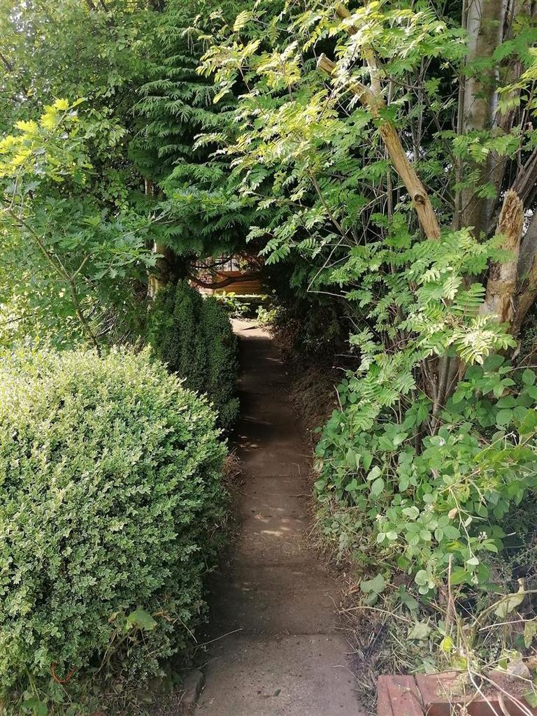 Secret Garden.jpg