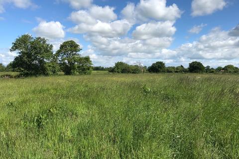Farm land for sale - Heathway Drove, Westhay, BA6