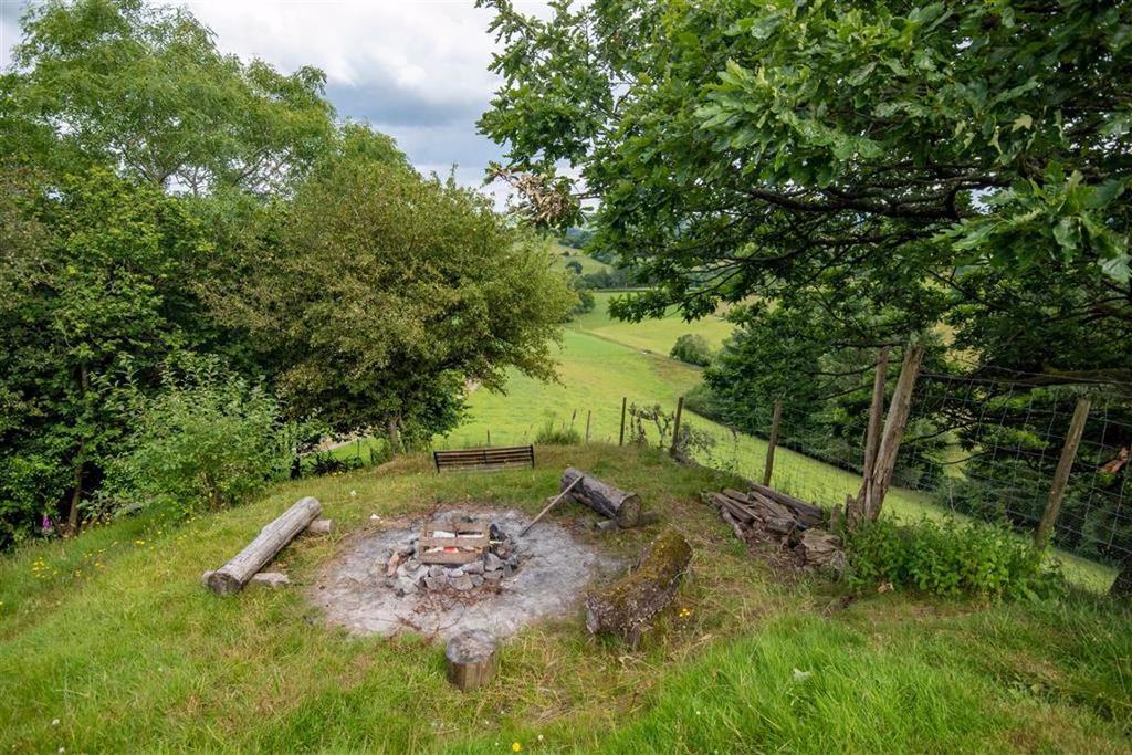 Lower Garden and Firepit