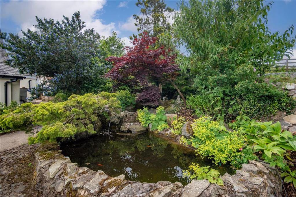 Front garden