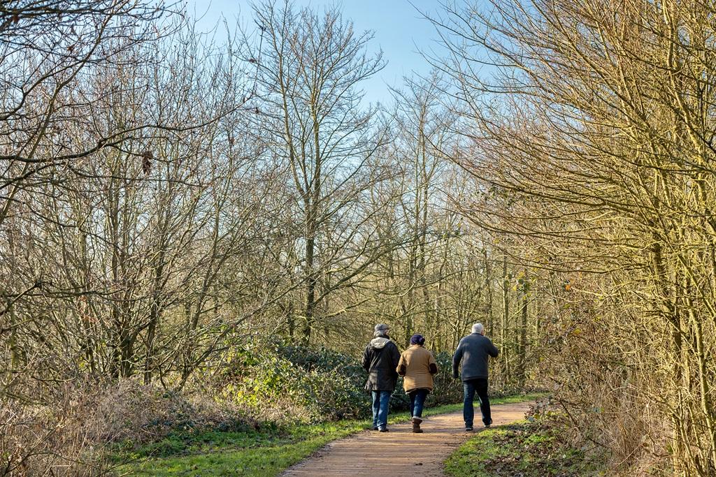 Welsh harp nature reserve