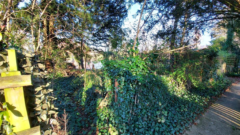 Site
