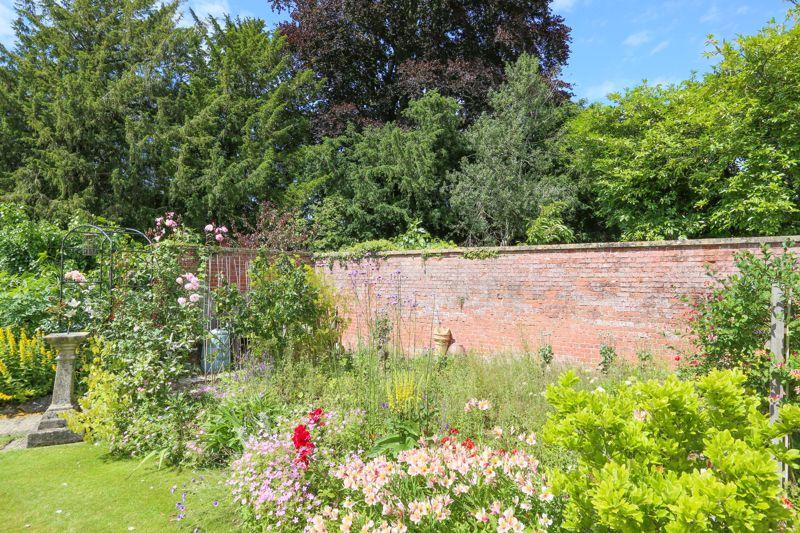 Vegetable Patch